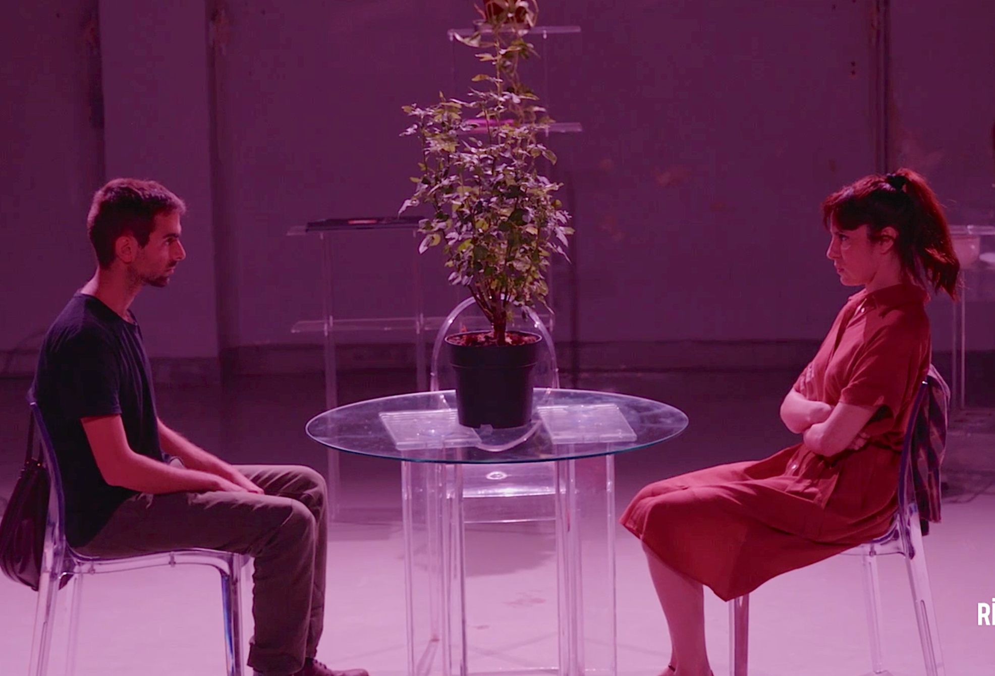 EL PEQUEÑO PONI de Paco Becerra | 3º de Diplomatura (promoción 2022/25)